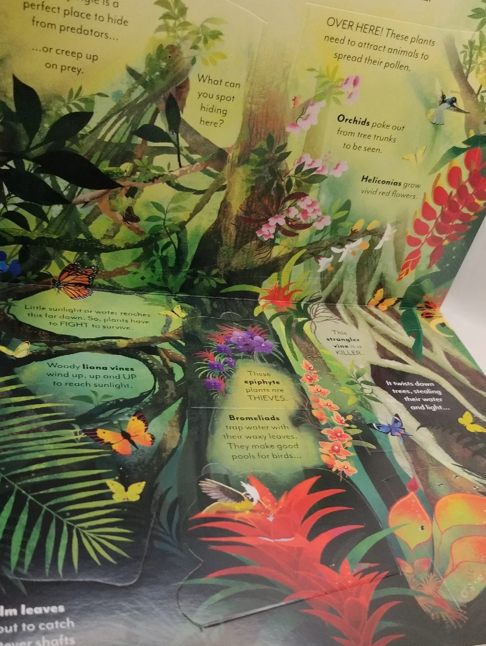 Extreme Planet Journey Through The Amazon A Lift-the-Flap Book NEW